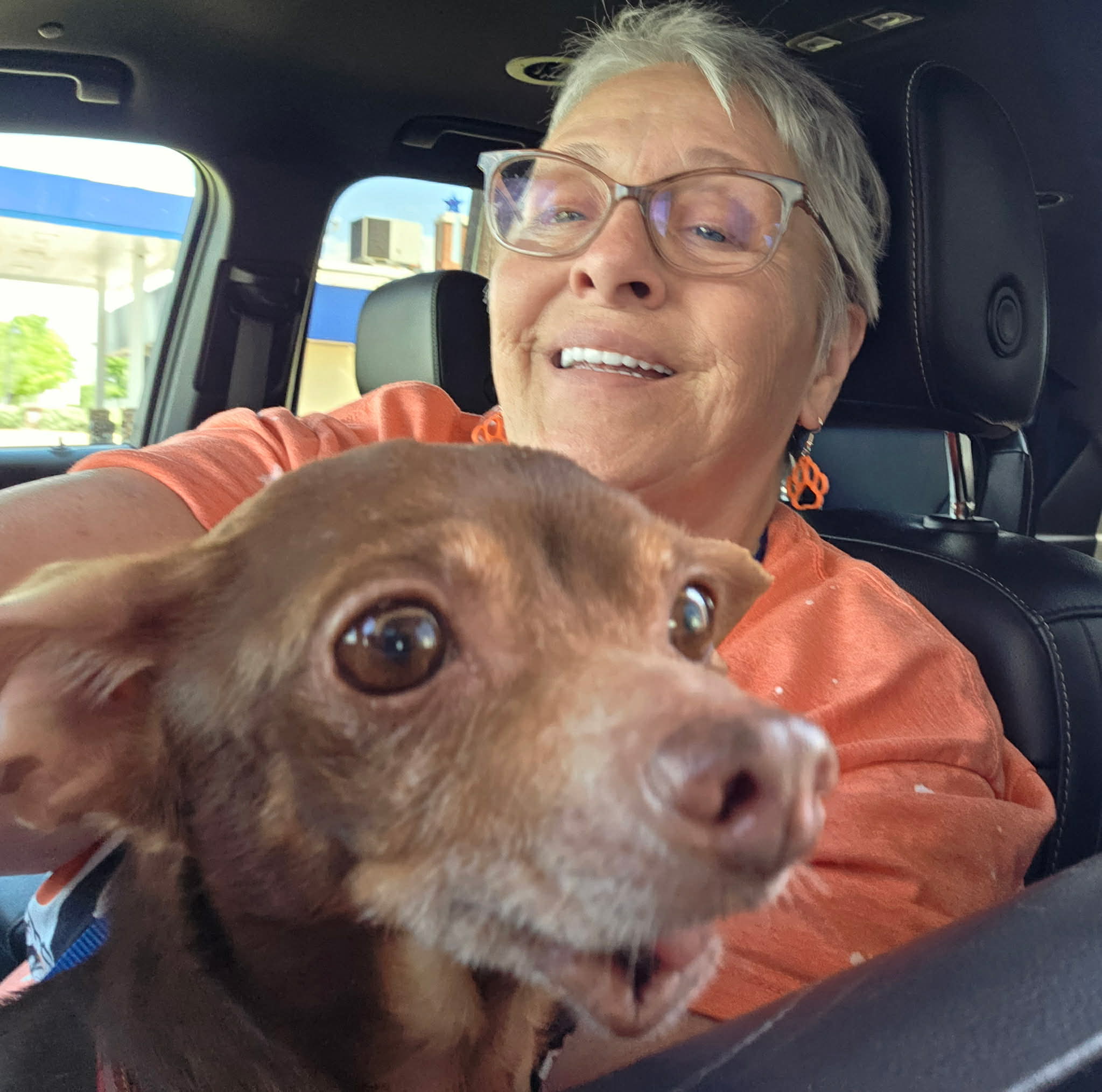 Shelter animal