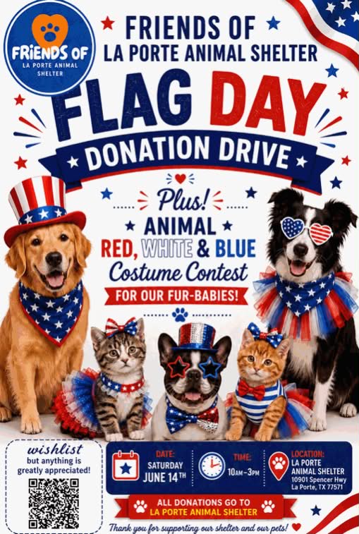 Flag Day Donation Drive Flyer