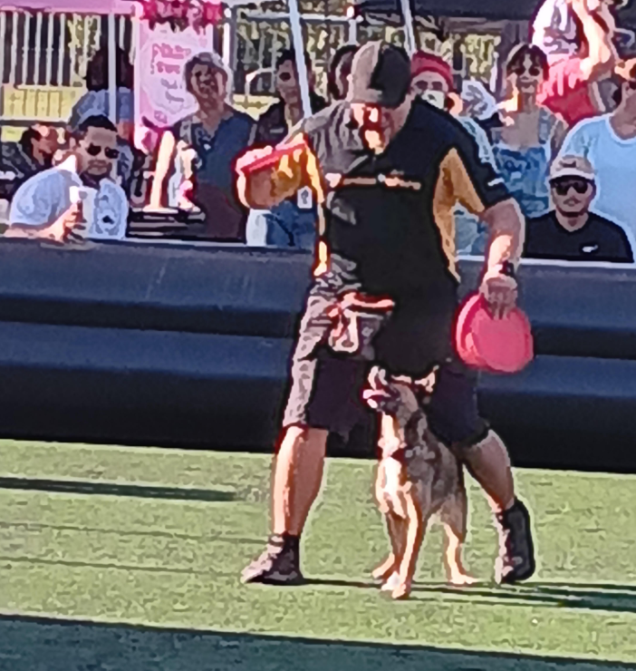 Pooch Palooza photo