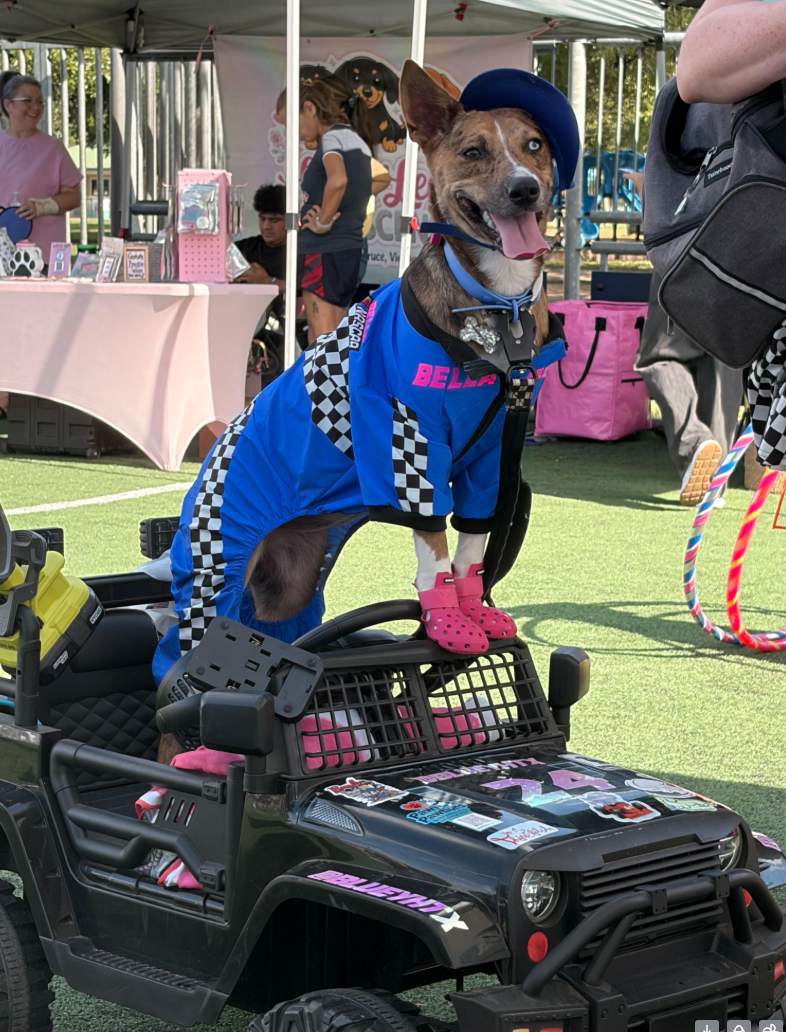 Pooch Palooza photo