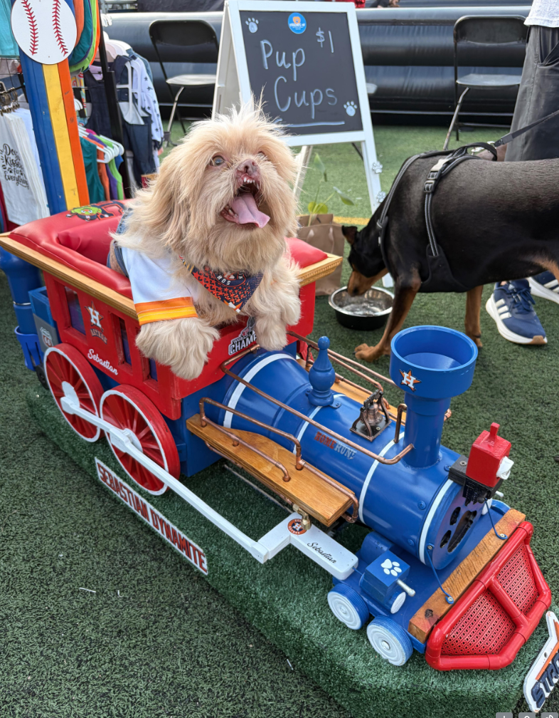 Pooch Palooza photo