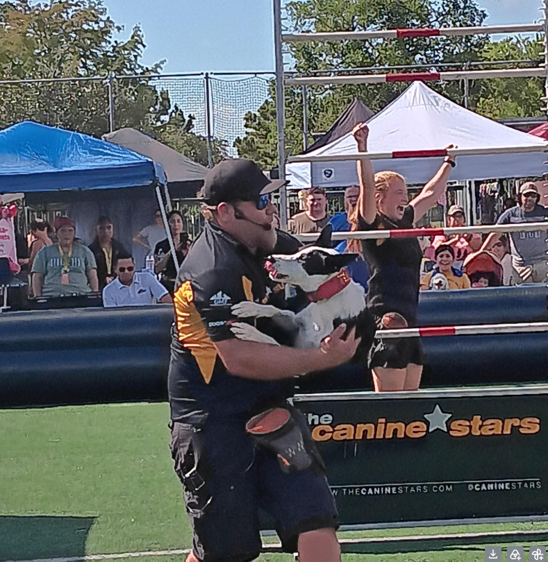 Pooch Palooza photo