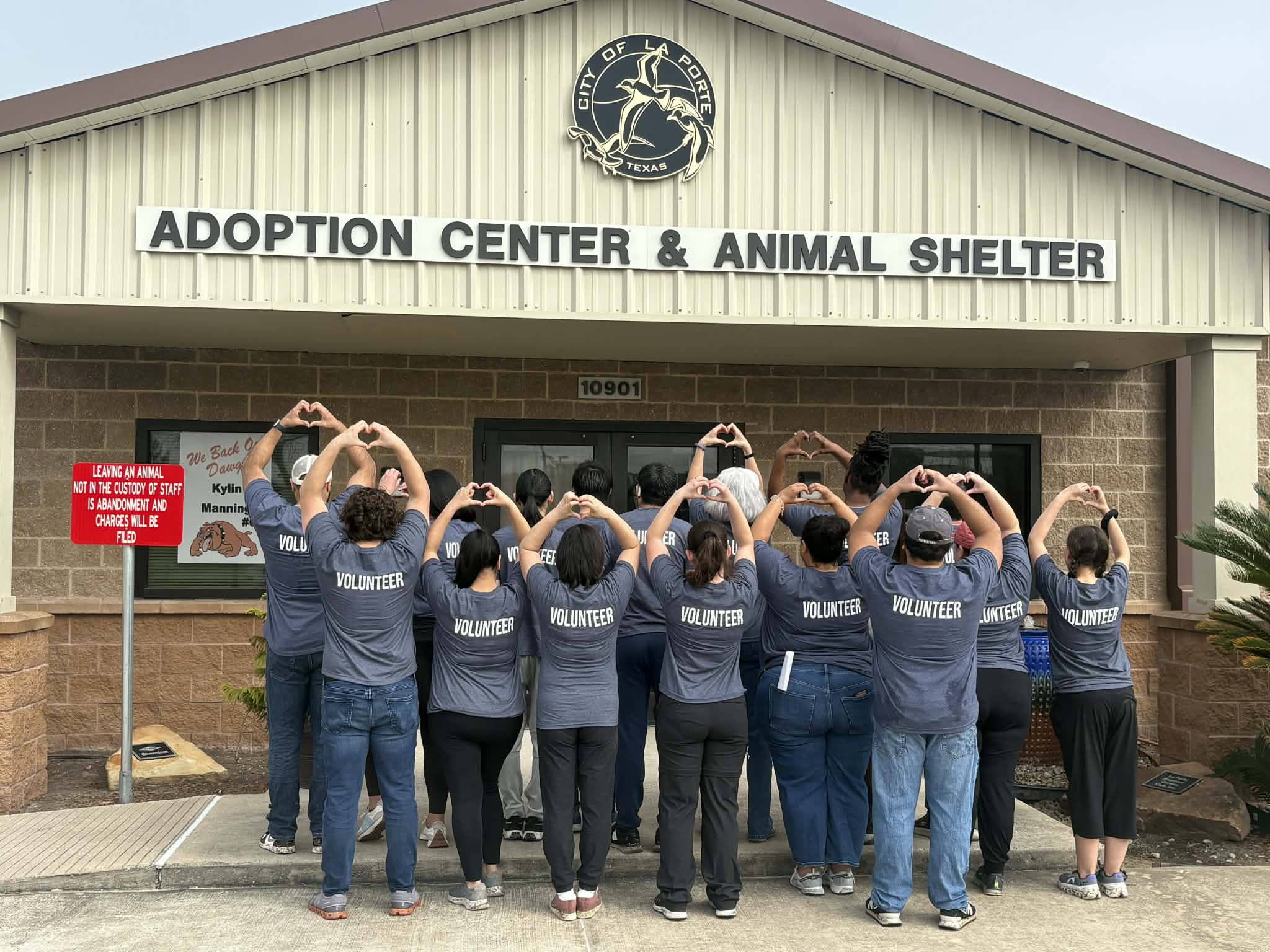Shelter animal